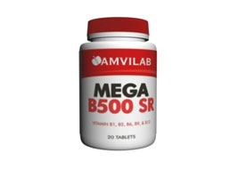 მეგა ბ 500 სრ