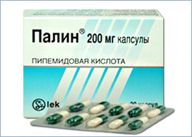 პალინი